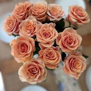 Meet your Posher, Ruth